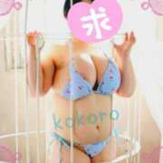 ヒメ日記 2025/01/26 11:58 投稿 荒木心 Prae(プラエ)