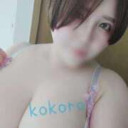 ヒメ日記 2025/02/25 12:16 投稿 荒木心 Prae(プラエ)