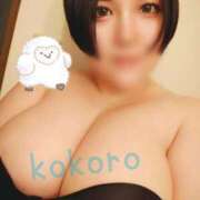 ヒメ日記 2025/07/27 10:43 投稿 荒木心 Prae(プラエ)