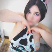 ヒメ日記 2025/08/12 09:30 投稿 荒木心 Prae(プラエ)