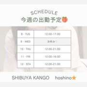 ヒメ日記 2025/04/08 10:34 投稿 星乃　看護師 うちの看護師にできることと言ったら・・・in渋谷KANGO