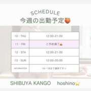 ヒメ日記 2025/04/10 08:50 投稿 星乃　看護師 うちの看護師にできることと言ったら・・・in渋谷KANGO