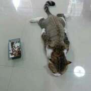 ヒメ日記 2024/12/16 21:36 投稿 ともえ奥様 人妻倶楽部　日本橋店