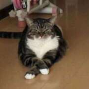 ヒメ日記 2024/12/18 16:56 投稿 ともえ奥様 人妻倶楽部　日本橋店