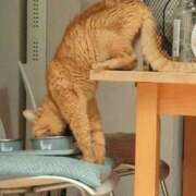 ヒメ日記 2024/12/23 20:56 投稿 ともえ奥様 人妻倶楽部　日本橋店