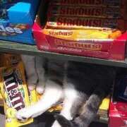 ヒメ日記 2024/12/23 21:26 投稿 ともえ奥様 人妻倶楽部　日本橋店