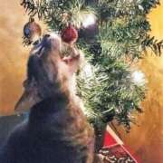 ヒメ日記 2024/12/24 20:46 投稿 ともえ奥様 人妻倶楽部　日本橋店