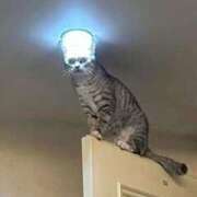 ヒメ日記 2025/01/05 18:46 投稿 ともえ奥様 人妻倶楽部　日本橋店