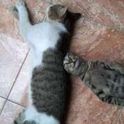 ヒメ日記 2025/01/07 17:16 投稿 ともえ奥様 人妻倶楽部　日本橋店