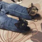 ヒメ日記 2025/01/10 15:26 投稿 ともえ奥様 人妻倶楽部　日本橋店