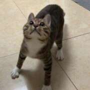 ヒメ日記 2025/01/14 17:46 投稿 ともえ奥様 人妻倶楽部　日本橋店