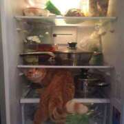 ヒメ日記 2025/02/02 15:16 投稿 ともえ奥様 人妻倶楽部　日本橋店