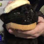 ヒメ日記 2025/02/07 18:56 投稿 ともえ奥様 人妻倶楽部　日本橋店