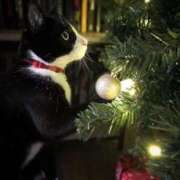 ヒメ日記 2025/02/11 02:06 投稿 ともえ奥様 人妻倶楽部　日本橋店