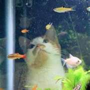 ヒメ日記 2025/02/17 18:06 投稿 ともえ奥様 人妻倶楽部　日本橋店