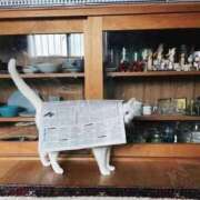 ヒメ日記 2025/02/19 17:26 投稿 ともえ奥様 人妻倶楽部　日本橋店