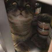 ヒメ日記 2025/02/23 05:16 投稿 ともえ奥様 人妻倶楽部　日本橋店