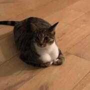 ヒメ日記 2025/02/23 17:56 投稿 ともえ奥様 人妻倶楽部　日本橋店