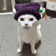 ヒメ日記 2025/02/26 19:16 投稿 ともえ奥様 人妻倶楽部　日本橋店