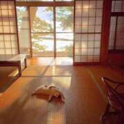 ヒメ日記 2025/03/02 15:56 投稿 ともえ奥様 人妻倶楽部　日本橋店