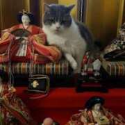 ヒメ日記 2025/03/10 18:06 投稿 ともえ奥様 人妻倶楽部　日本橋店