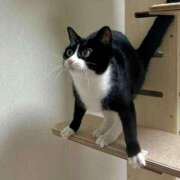 ヒメ日記 2025/03/13 17:17 投稿 ともえ奥様 人妻倶楽部　日本橋店