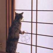 ヒメ日記 2025/03/21 19:56 投稿 ともえ奥様 人妻倶楽部　日本橋店