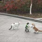 ヒメ日記 2025/03/22 20:15 投稿 ともえ奥様 人妻倶楽部　日本橋店