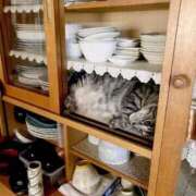 ヒメ日記 2025/03/24 19:16 投稿 ともえ奥様 人妻倶楽部　日本橋店