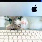 ヒメ日記 2025/04/03 14:56 投稿 ともえ奥様 人妻倶楽部　日本橋店