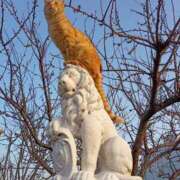 ヒメ日記 2025/04/12 16:26 投稿 ともえ奥様 人妻倶楽部　日本橋店