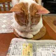 ヒメ日記 2025/04/21 12:26 投稿 ともえ奥様 人妻倶楽部　日本橋店