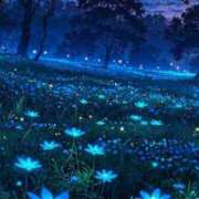 ヒメ日記 2025/04/23 03:16 投稿 ともえ奥様 人妻倶楽部　日本橋店