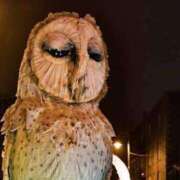 ヒメ日記 2025/04/29 13:36 投稿 ともえ奥様 人妻倶楽部　日本橋店