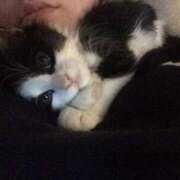 ヒメ日記 2025/05/06 14:36 投稿 ともえ奥様 人妻倶楽部　日本橋店