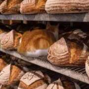 ヒメ日記 2025/05/16 16:56 投稿 ともえ奥様 人妻倶楽部　日本橋店