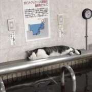 ヒメ日記 2025/05/18 18:46 投稿 ともえ奥様 人妻倶楽部　日本橋店