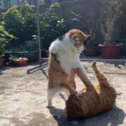 ヒメ日記 2025/05/26 15:28 投稿 ともえ奥様 人妻倶楽部　日本橋店