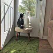 ヒメ日記 2025/06/15 18:56 投稿 ともえ奥様 人妻倶楽部　日本橋店