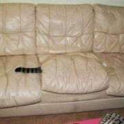 ヒメ日記 2025/06/19 15:26 投稿 ともえ奥様 人妻倶楽部　日本橋店