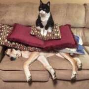 ヒメ日記 2025/06/19 16:06 投稿 ともえ奥様 人妻倶楽部　日本橋店