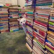 ヒメ日記 2025/06/21 18:26 投稿 ともえ奥様 人妻倶楽部　日本橋店