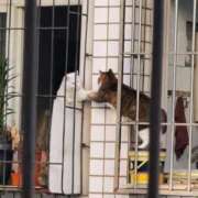 ヒメ日記 2025/06/22 17:26 投稿 ともえ奥様 人妻倶楽部　日本橋店