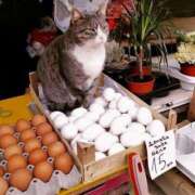 ヒメ日記 2025/06/22 20:50 投稿 ともえ奥様 人妻倶楽部　日本橋店