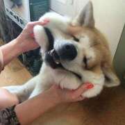 ヒメ日記 2025/06/30 15:26 投稿 ともえ奥様 人妻倶楽部　日本橋店