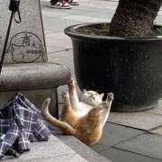 ヒメ日記 2025/07/03 10:26 投稿 ともえ奥様 人妻倶楽部　日本橋店