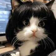 ヒメ日記 2025/07/06 17:26 投稿 ともえ奥様 人妻倶楽部　日本橋店