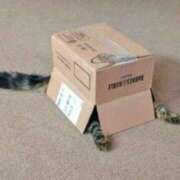 ヒメ日記 2025/07/13 15:37 投稿 ともえ奥様 人妻倶楽部　日本橋店