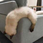 ヒメ日記 2025/07/14 15:36 投稿 ともえ奥様 人妻倶楽部　日本橋店