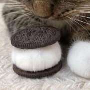 ヒメ日記 2025/07/21 20:56 投稿 ともえ奥様 人妻倶楽部　日本橋店